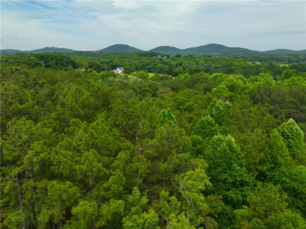 225 Meadow Brook Lane