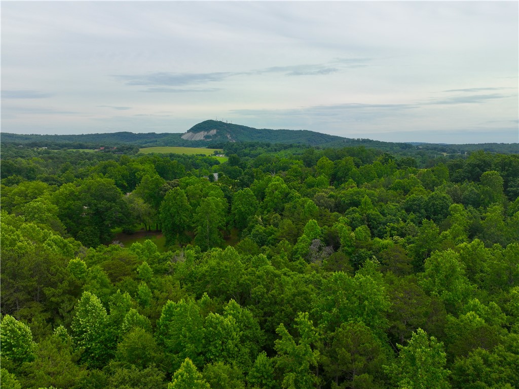225 Meadow Brook Lane