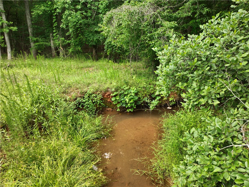 225 Meadow Brook Lane