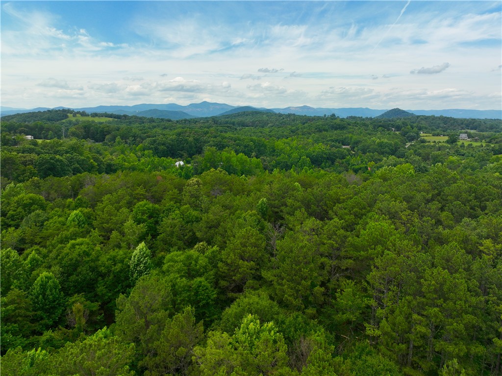 225 Meadow Brook Lane