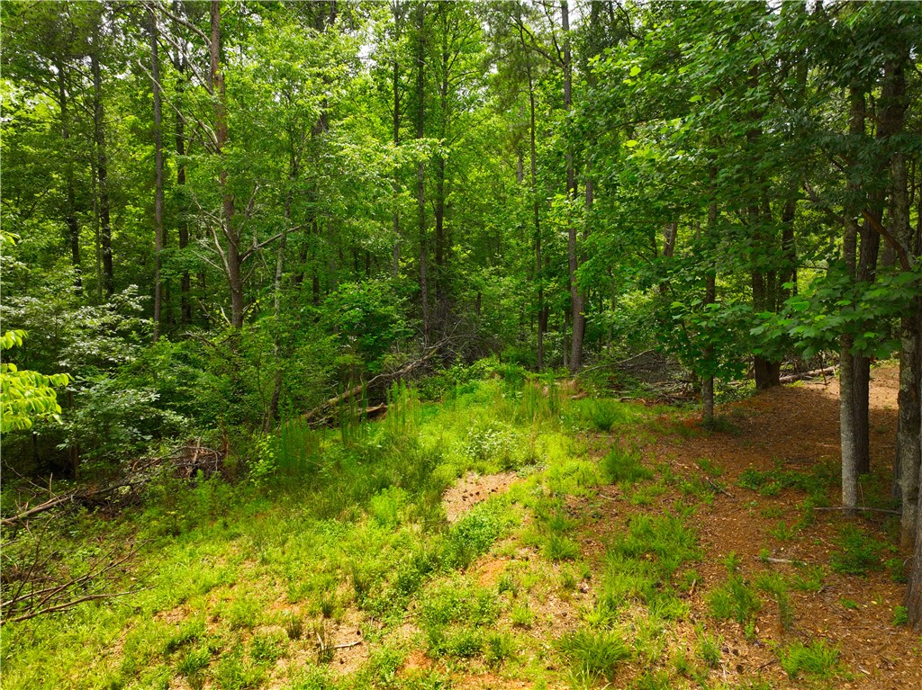 225 Meadow Brook Lane