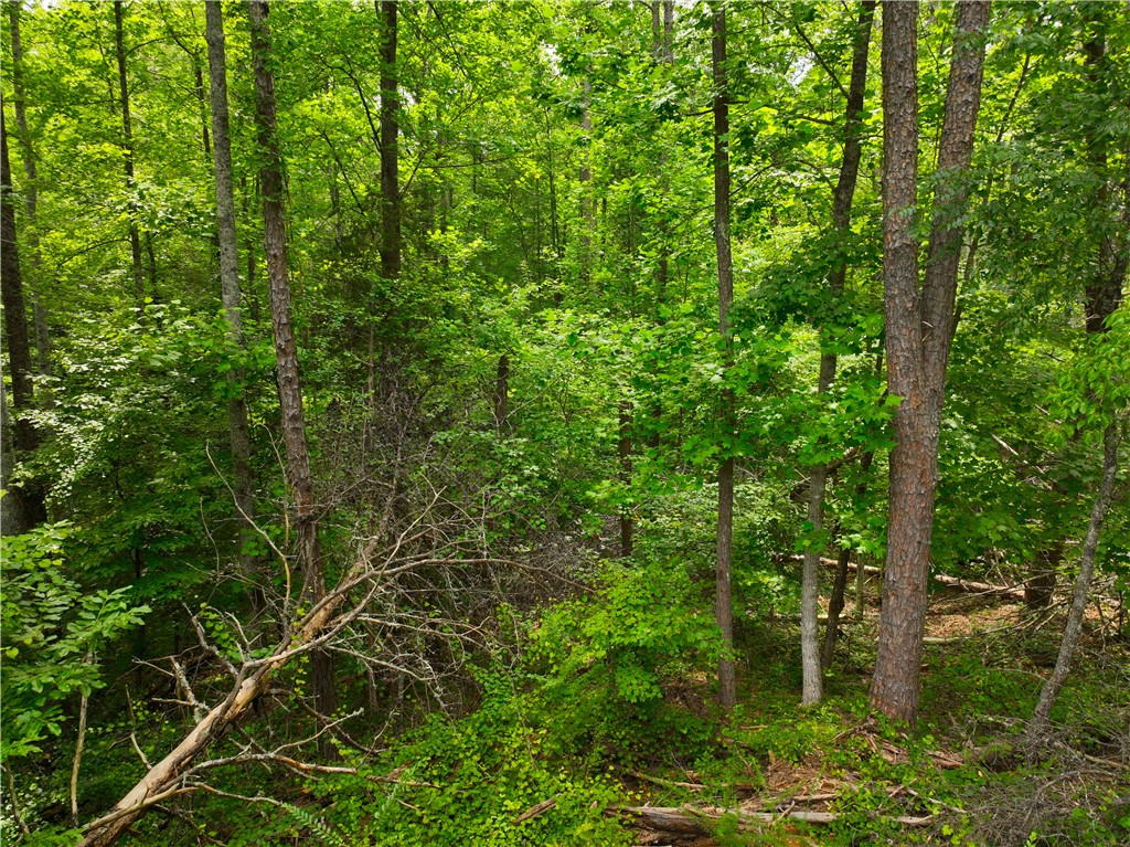 225 Meadow Brook Lane