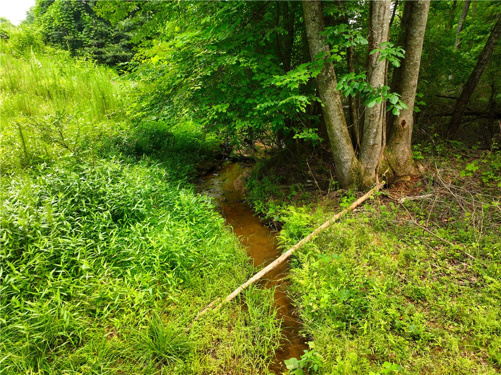 225 Meadow Brook Lane