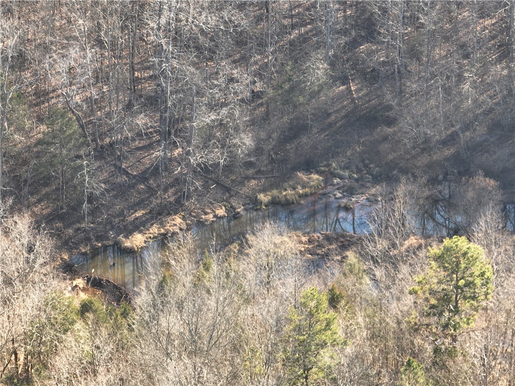 1550 Ridgeland Road