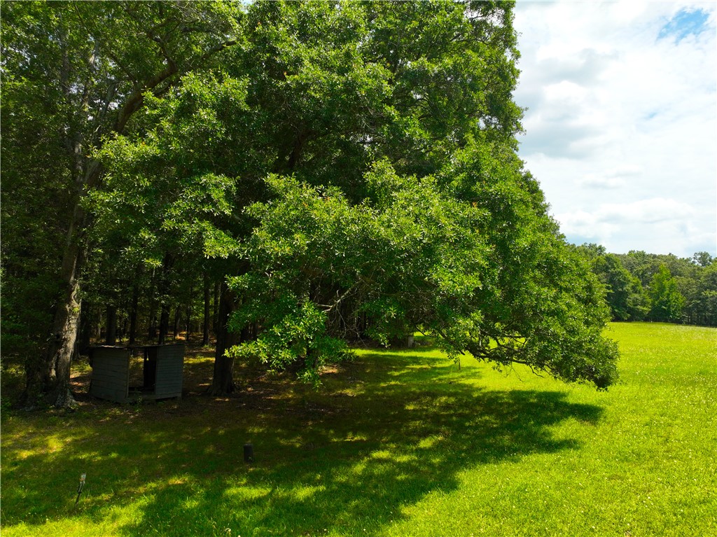 1198 Mize Road