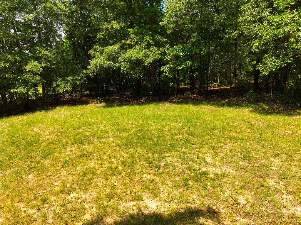 1198 Mize Road