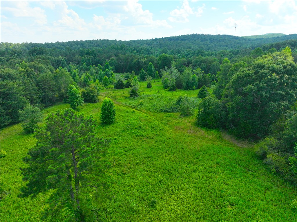 3573 Moorefield Memorial Highway