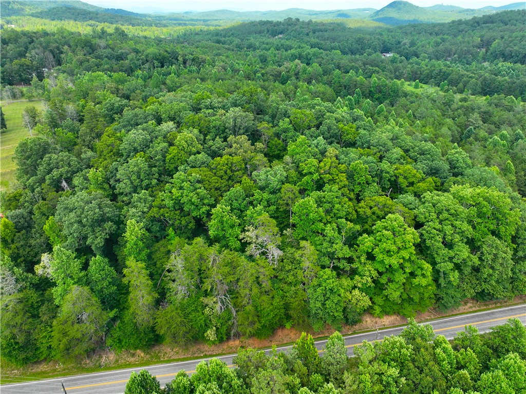 3573 Moorefield Memorial Highway