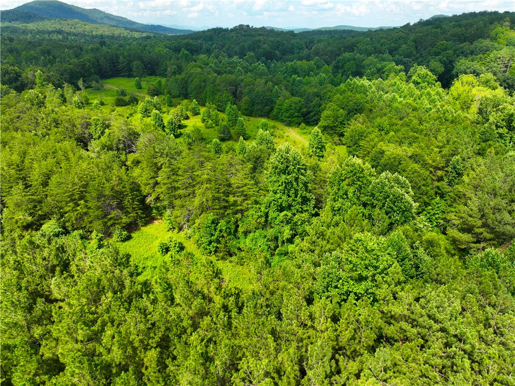 3573 Moorefield Memorial Highway