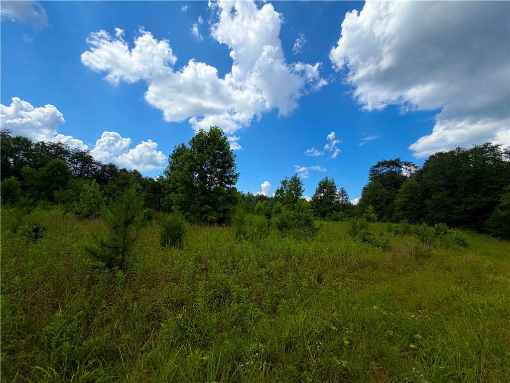 3573 Moorefield Memorial Highway