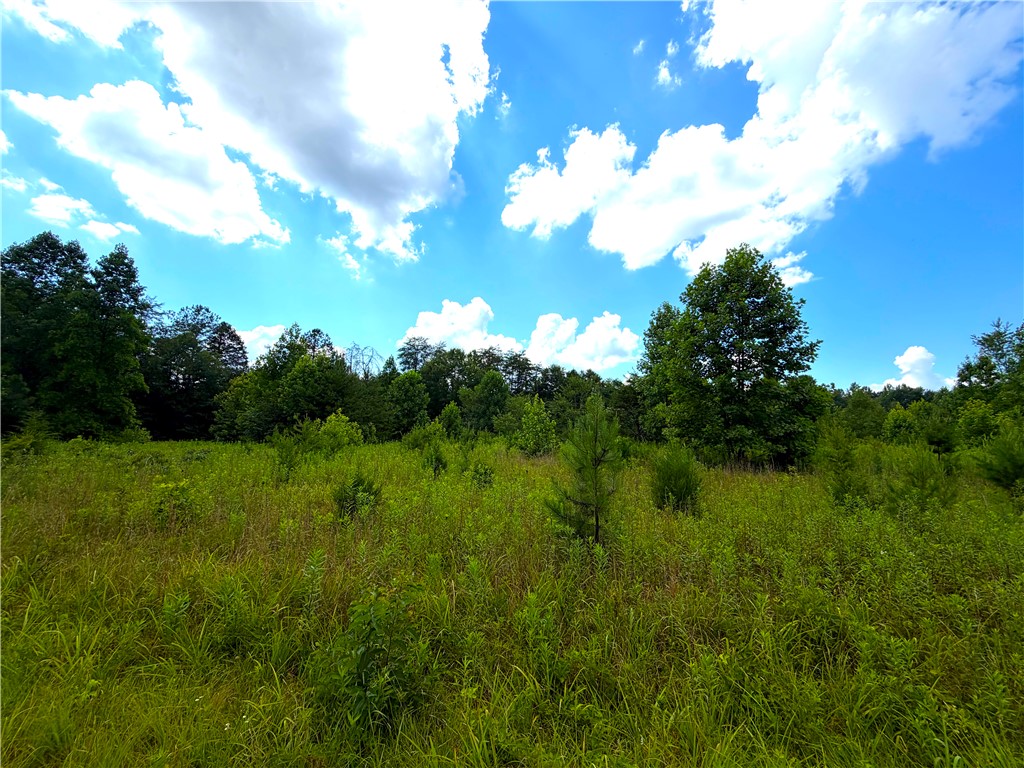 3573 Moorefield Memorial Highway