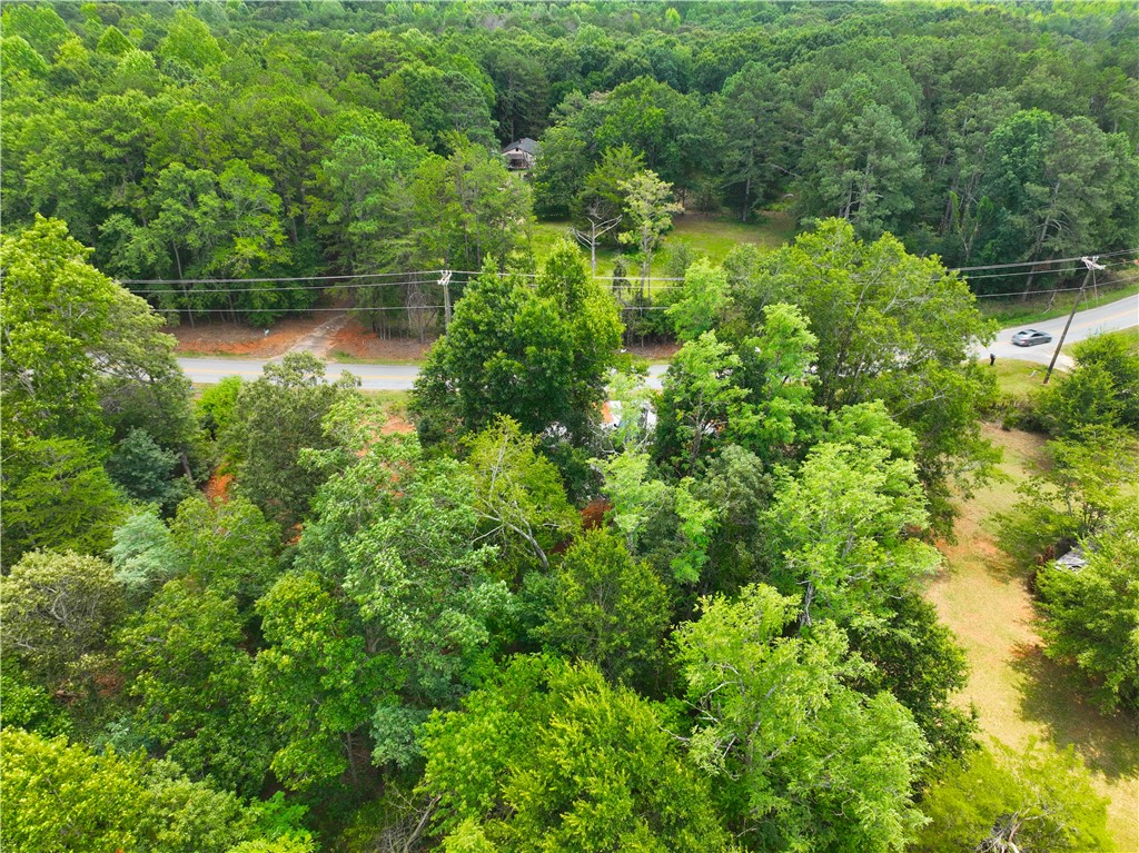 826 Joe Lewis Road