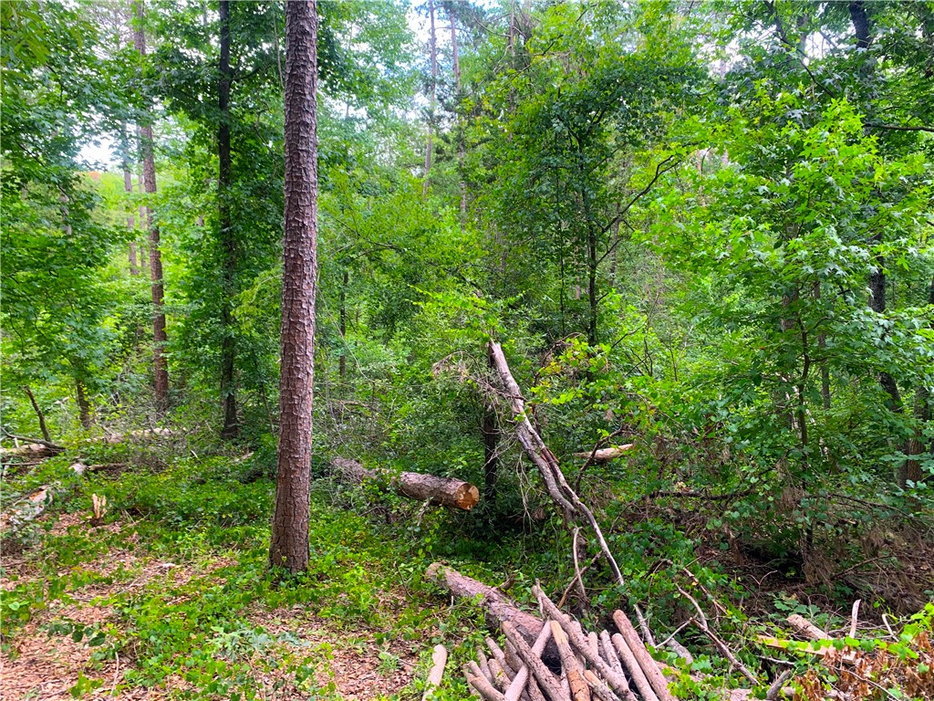 341 E Church Road