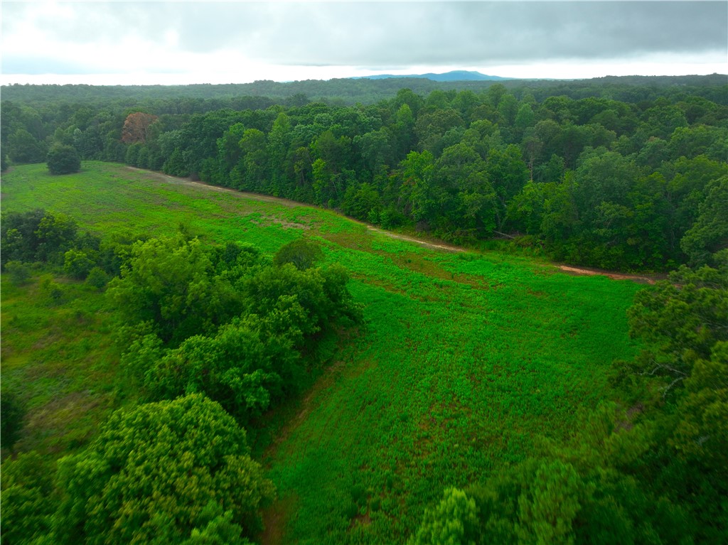 3961 Forrester Road