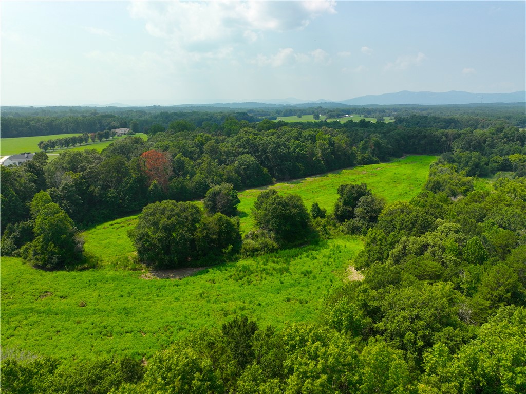 3961 Forrester Road