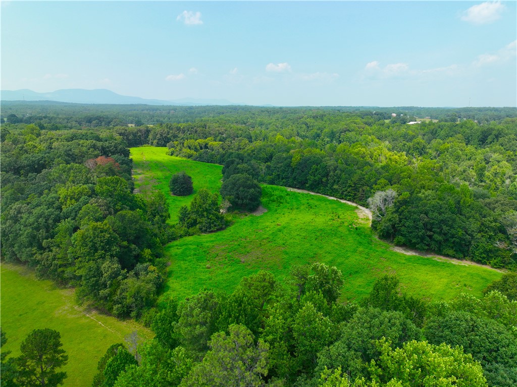 3961 Forrester Road
