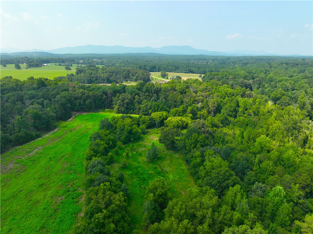 3961 Forrester Road