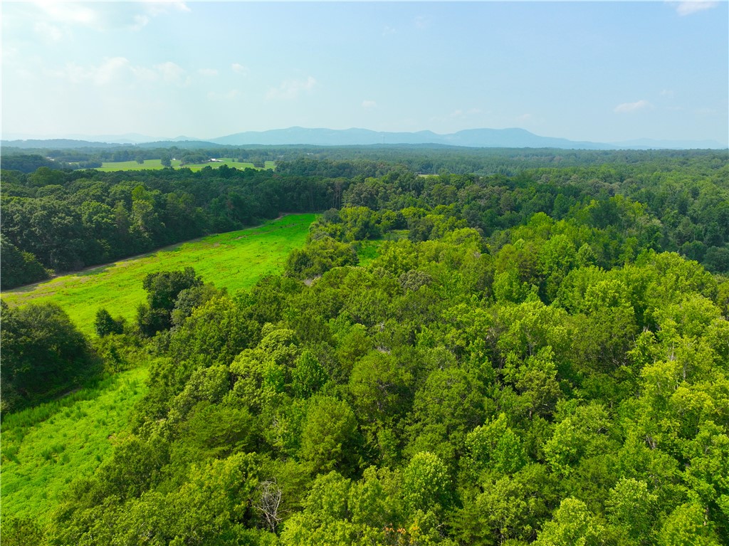 3961 Forrester Road