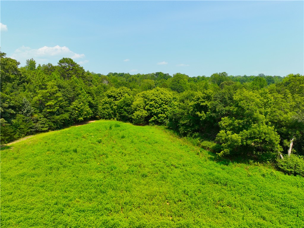 3961 Forrester Road