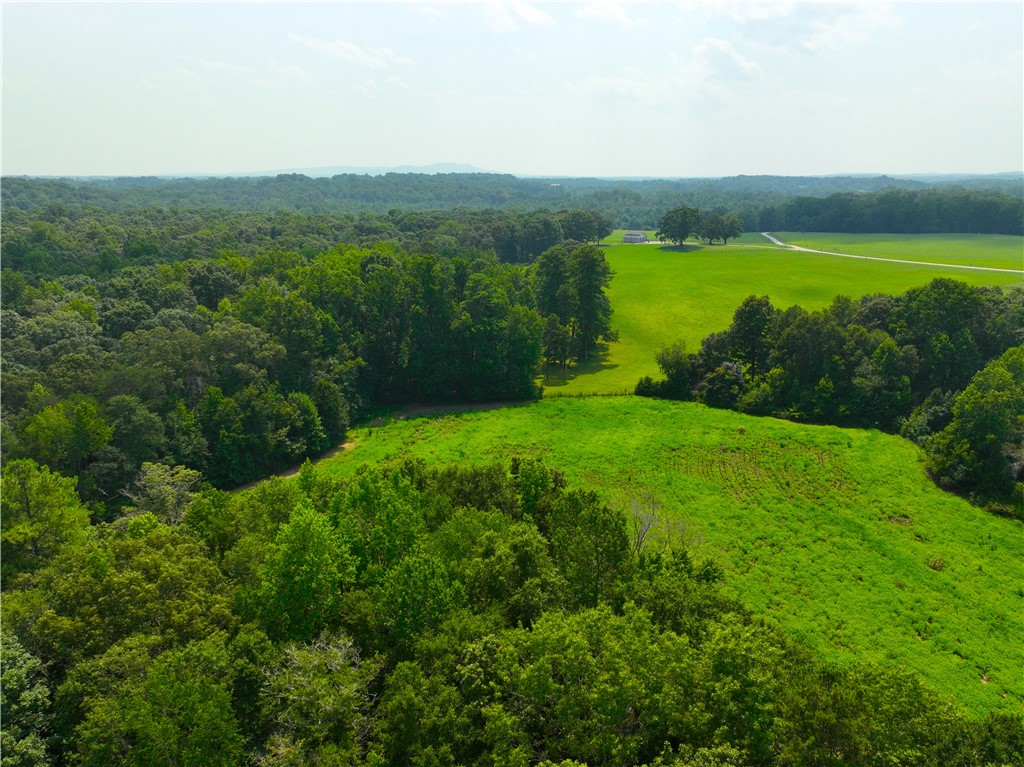 3961 Forrester Road
