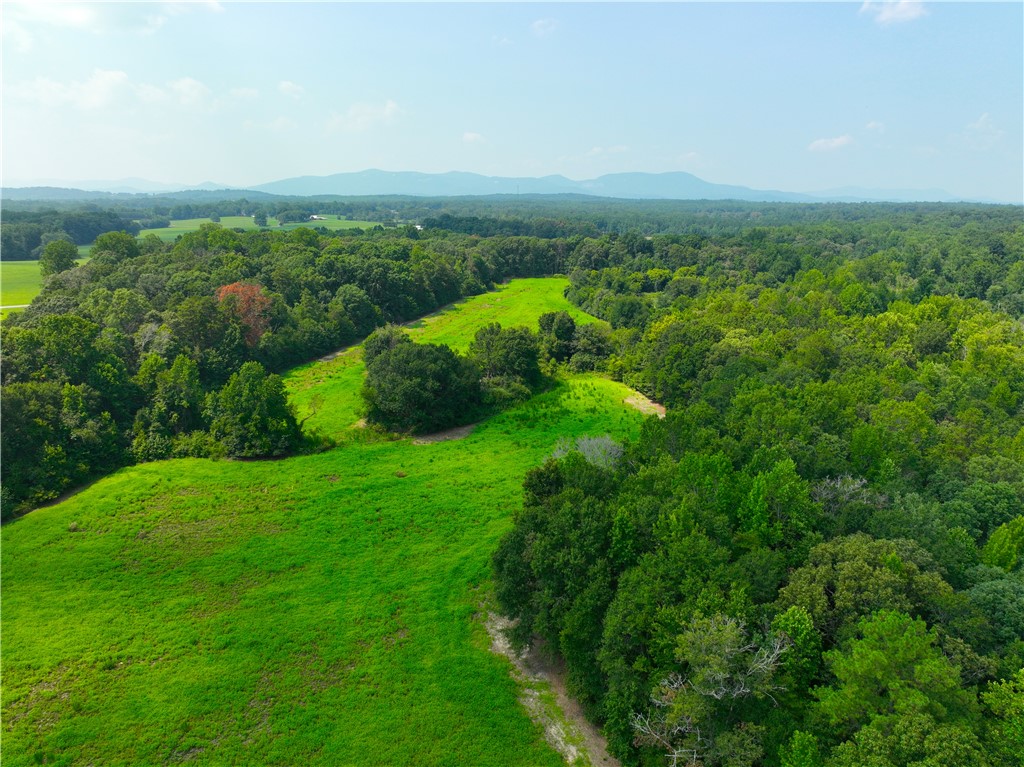 3961 Forrester Road