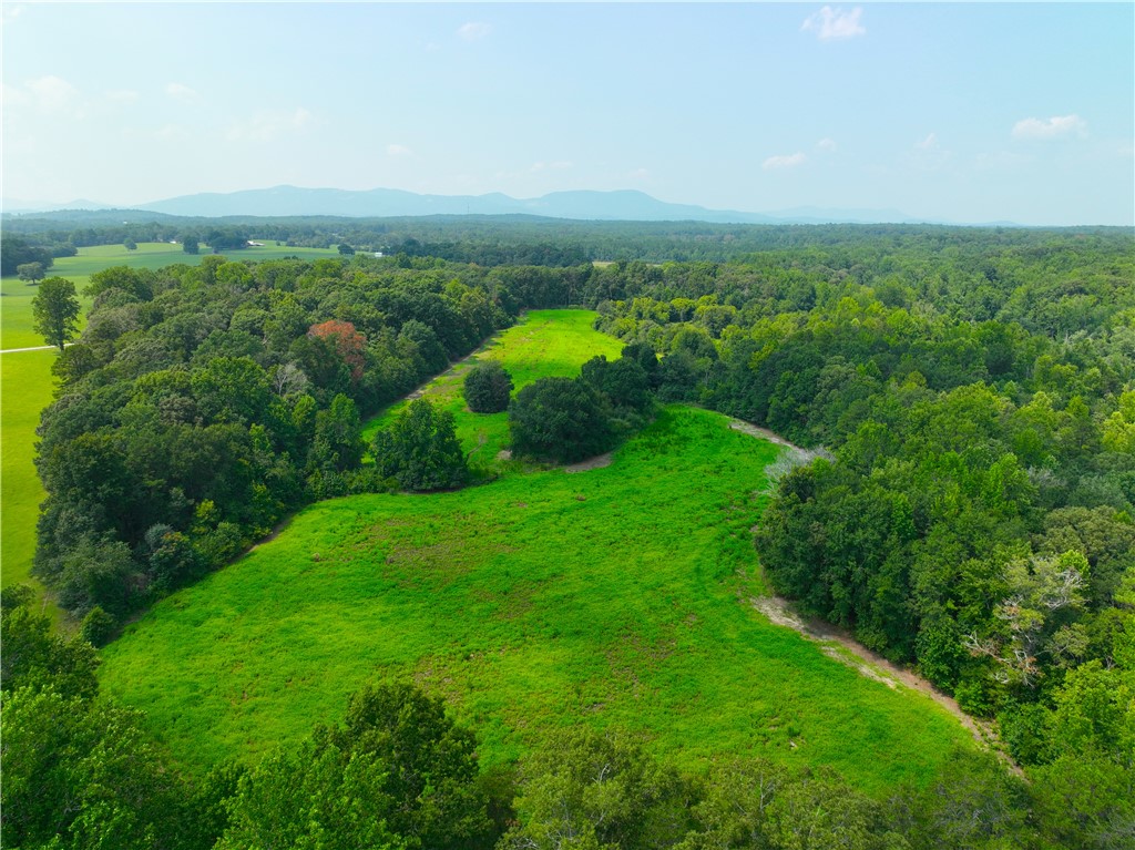 3961 Forrester Road