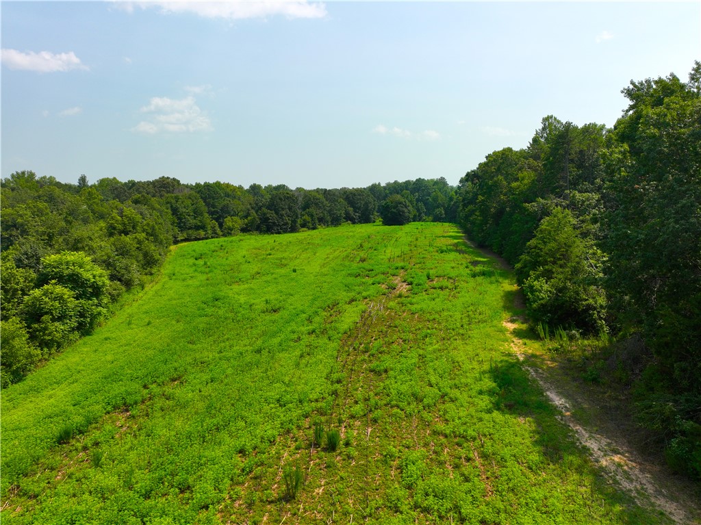 3961 Forrester Road