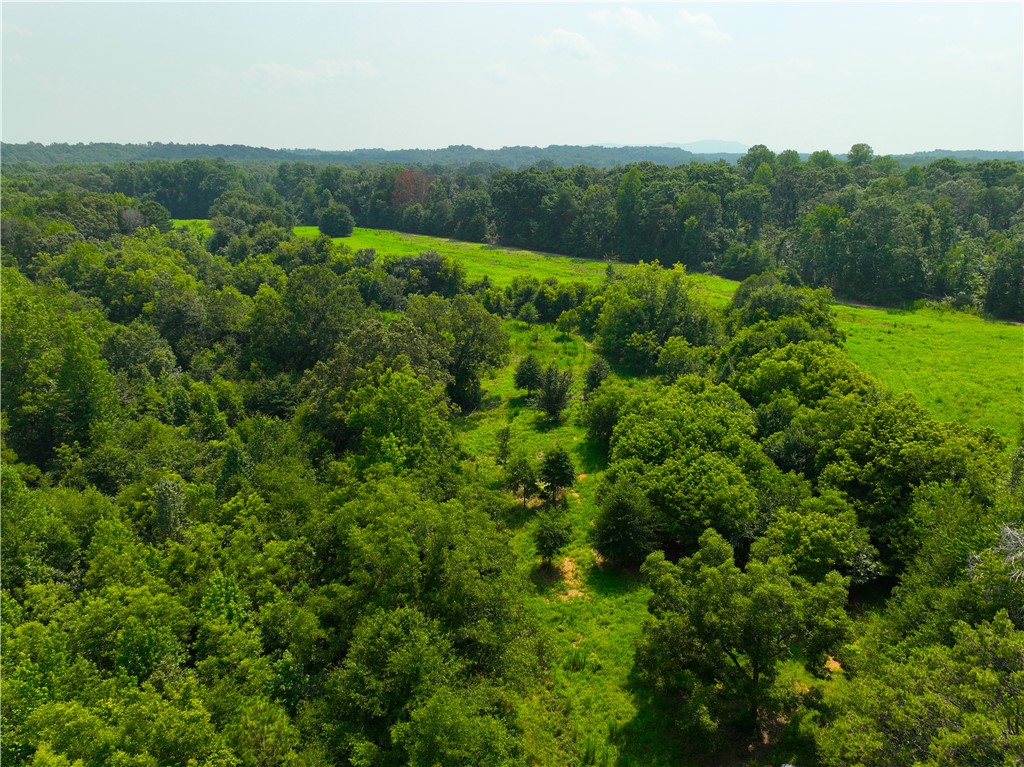 3961 Forrester Road