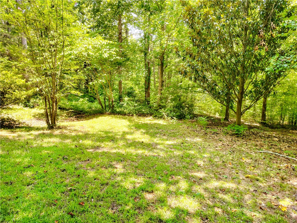 109 Briar Thicket Lane