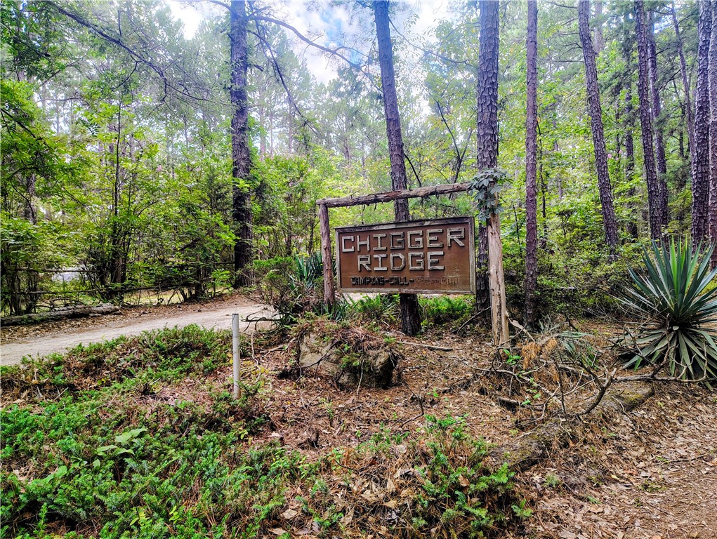 109 Briar Thicket Lane