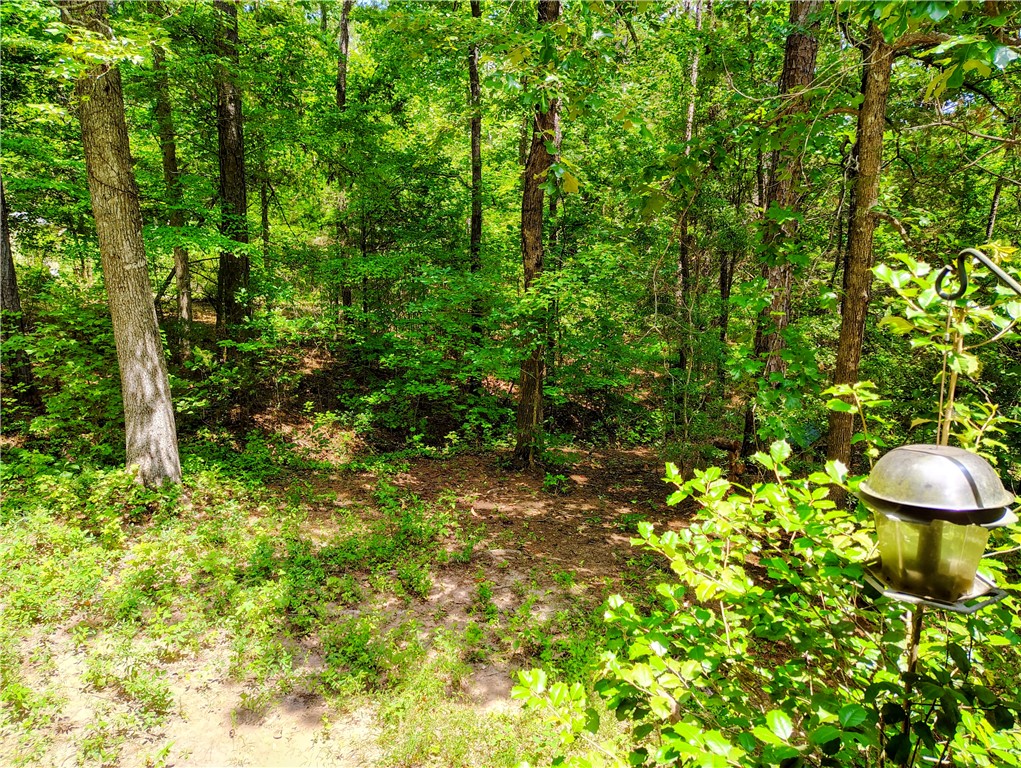 109 Briar Thicket Lane