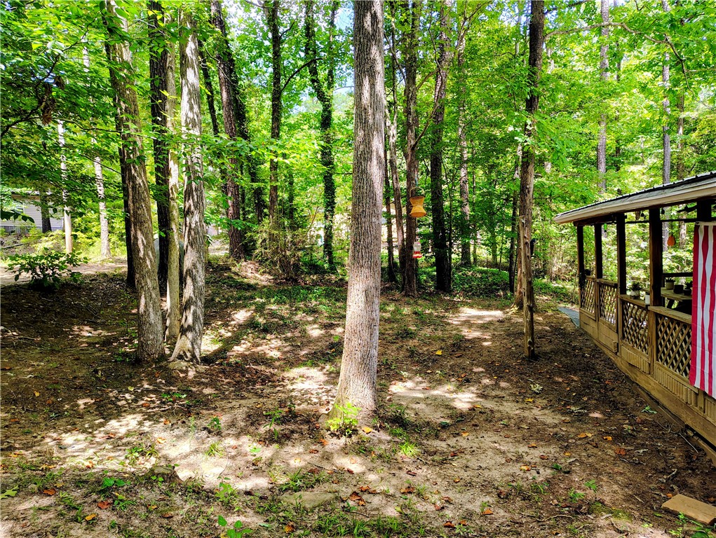 109 Briar Thicket Lane