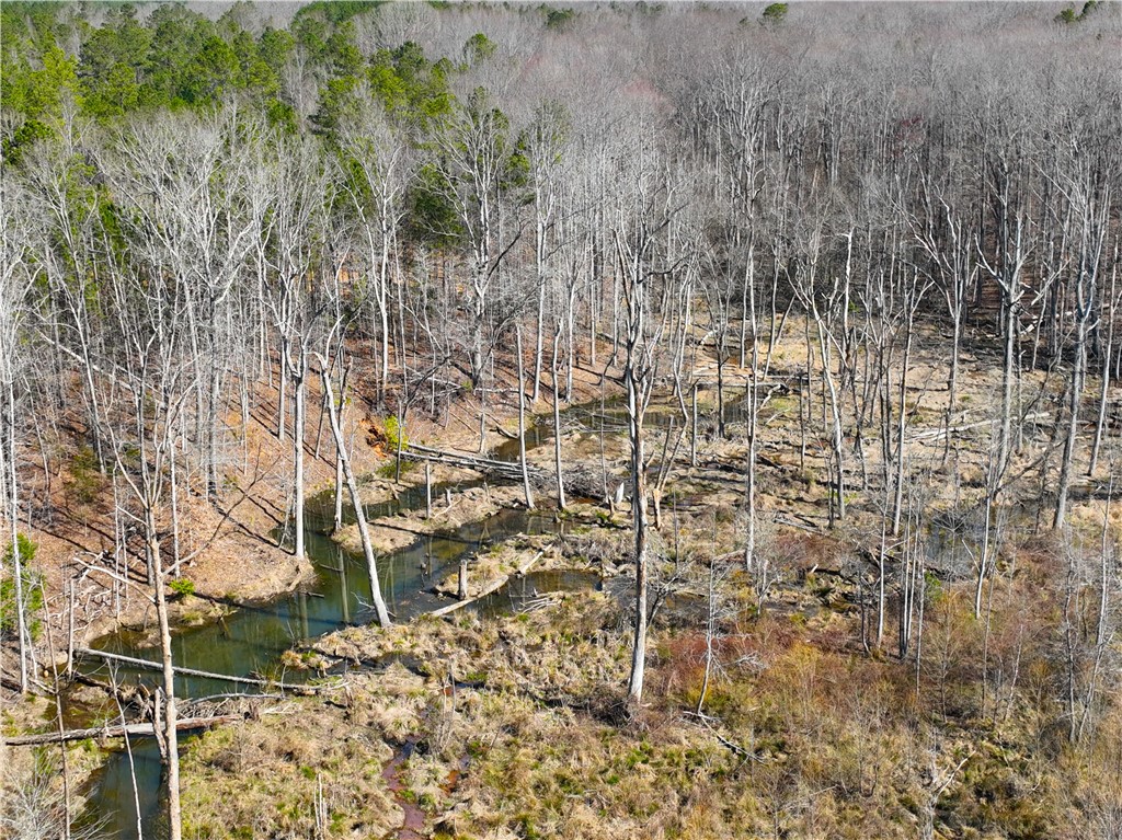 1 Bolt Road