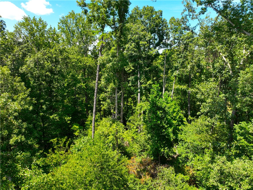 415 Hood Road
