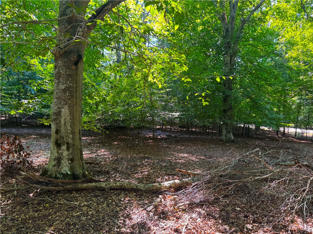00 Lake Secession Road