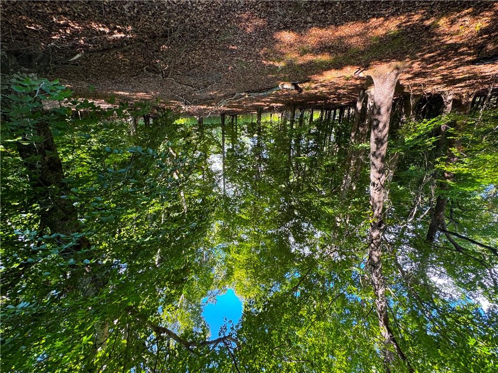 00 Lake Secession Road
