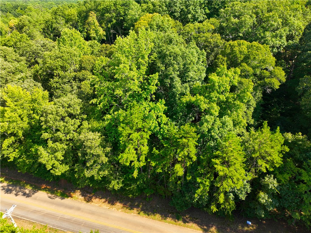 00 Lake Secession Road