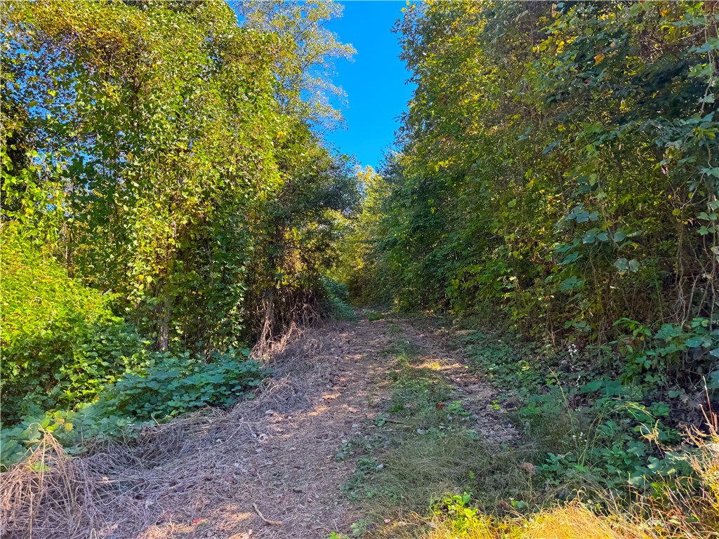 284 River Road