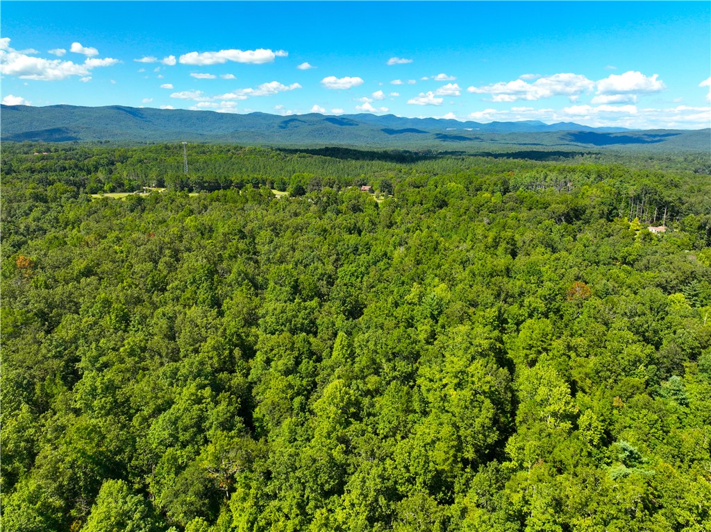 241 Whitmire Church Road