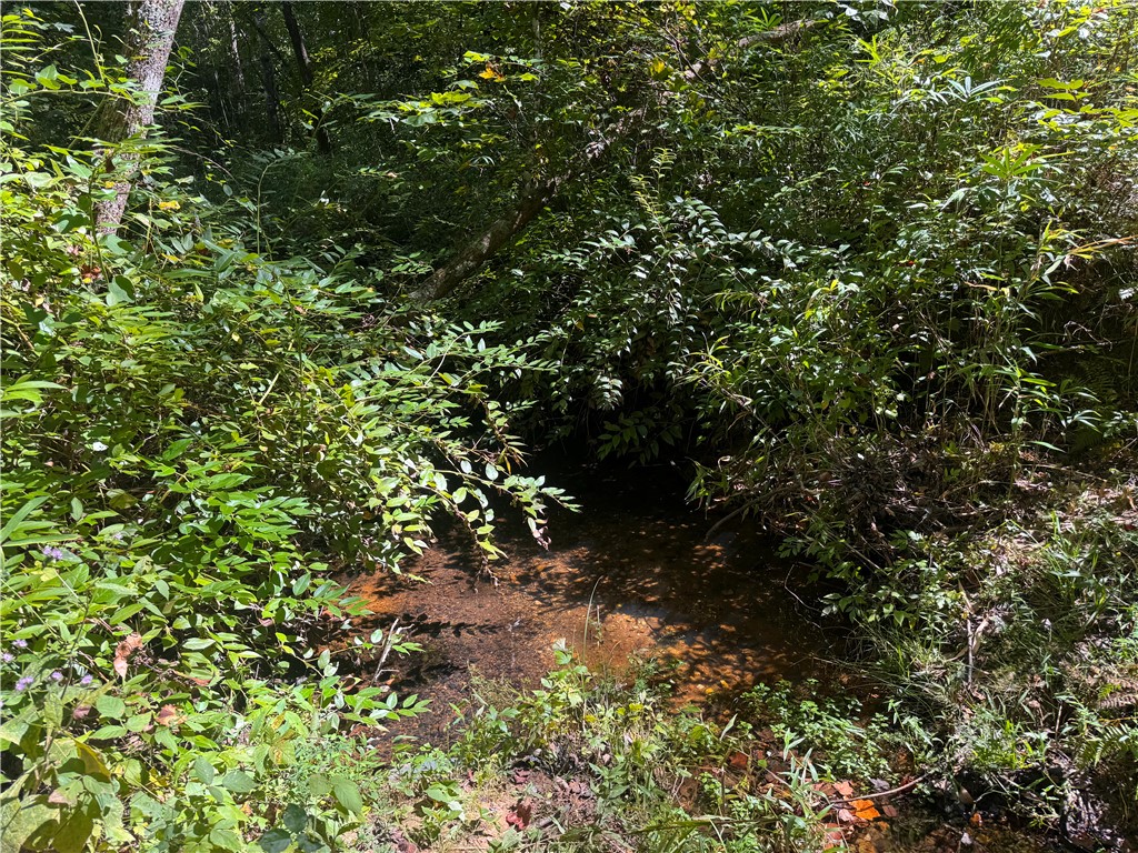 241 Whitmire Church Road