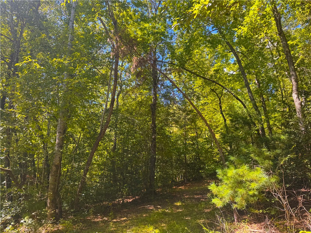 241 Whitmire Church Road