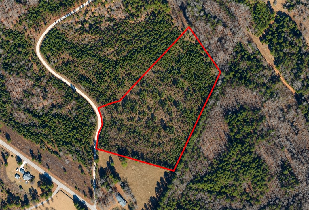 Wooded land parcel outlined in red beside a curving dirt road.