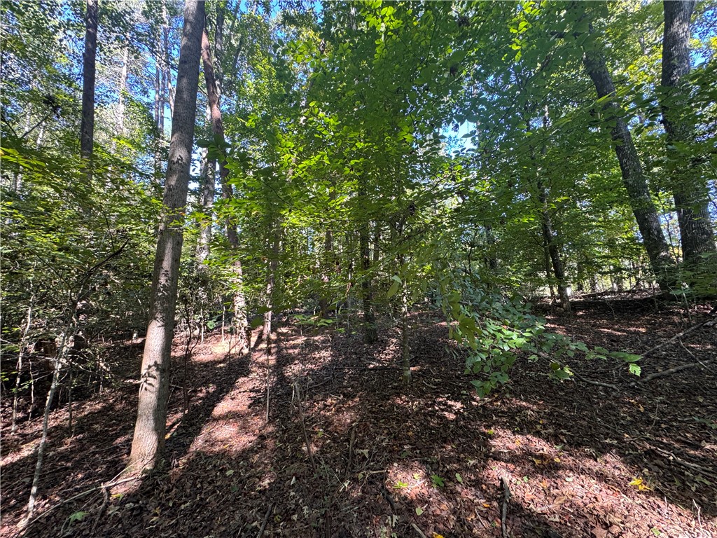 00 Mullinax Drive