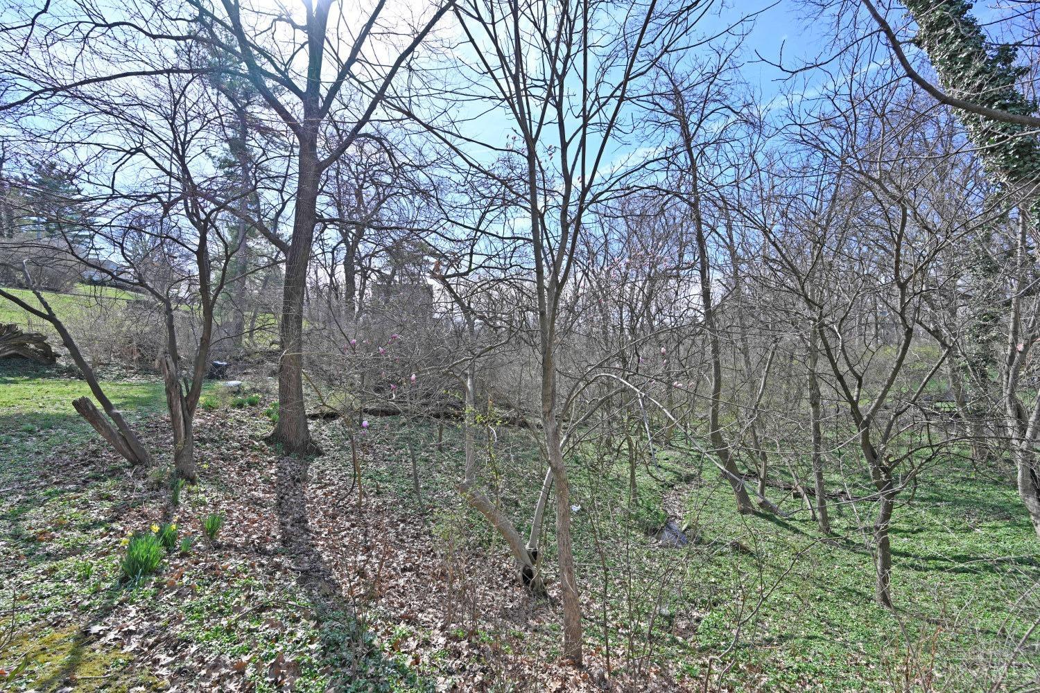 3901 N Cliff Lane