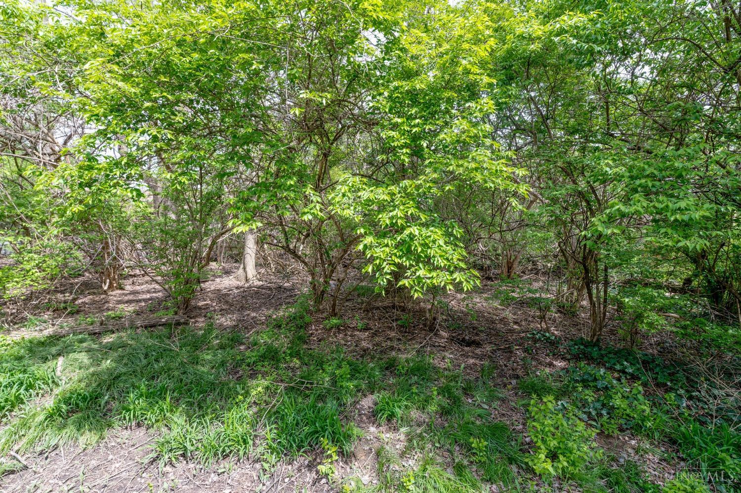 8296 Tidewater Court