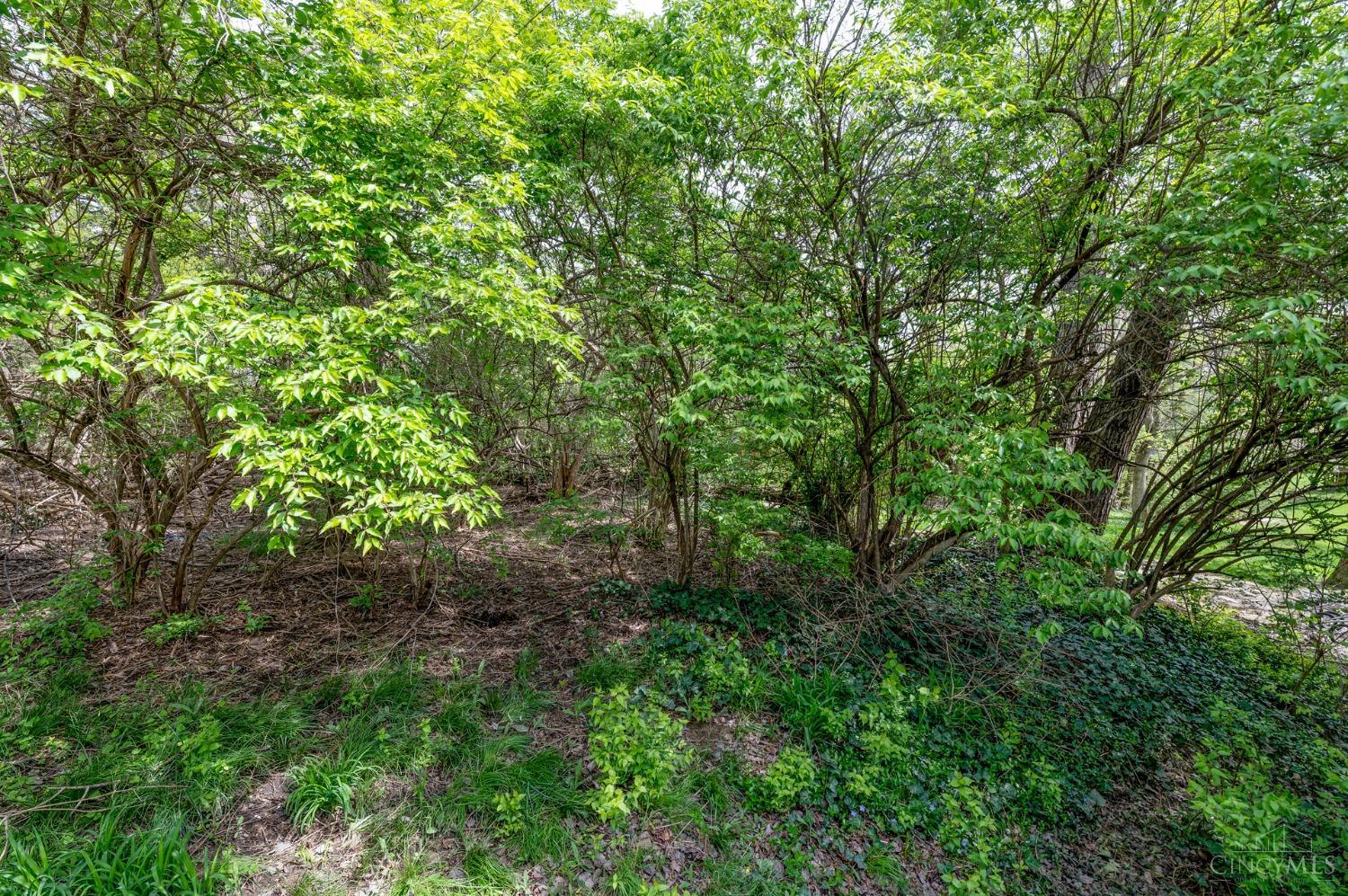 8296 Tidewater Court