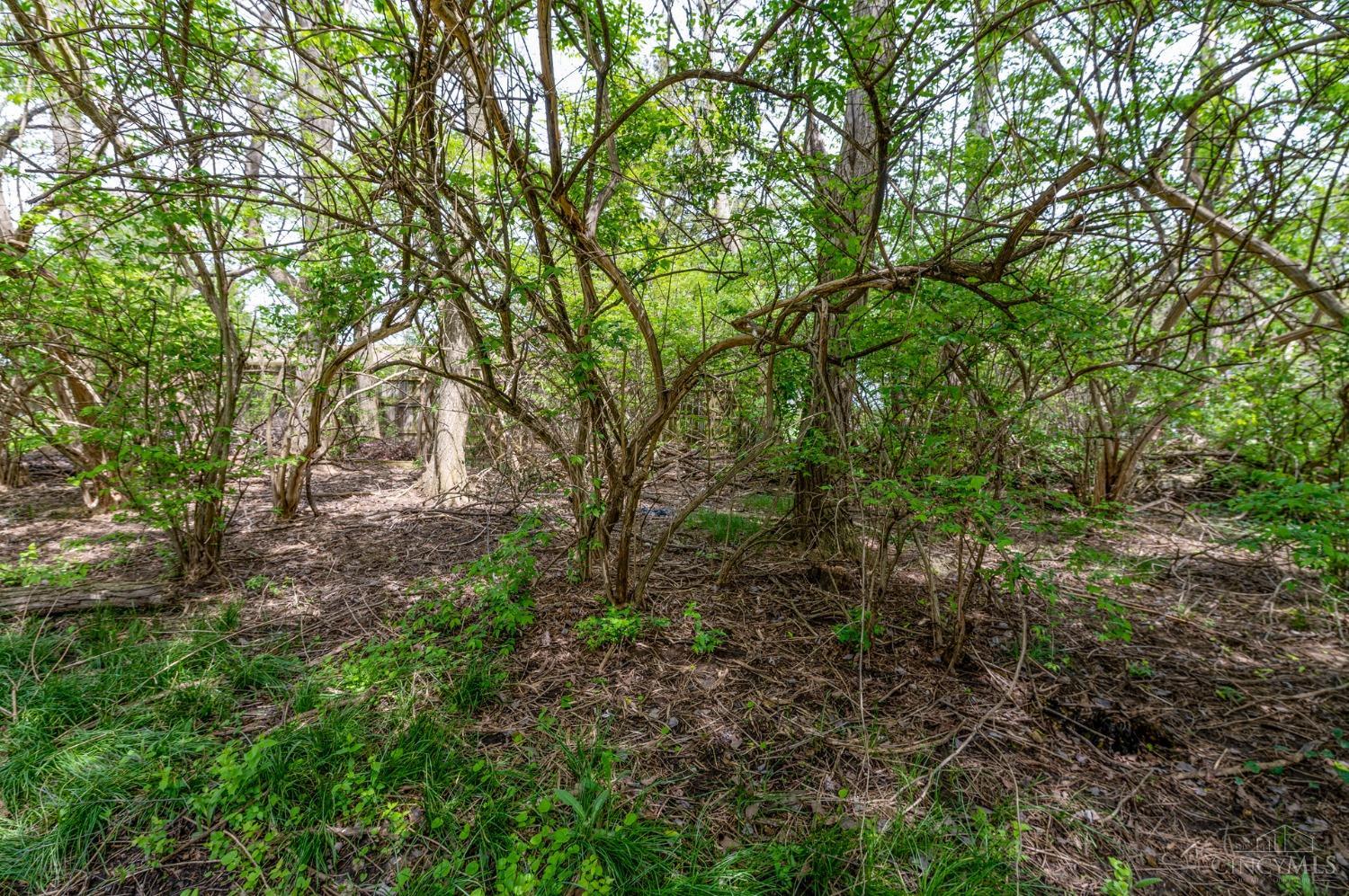 8296 Tidewater Court