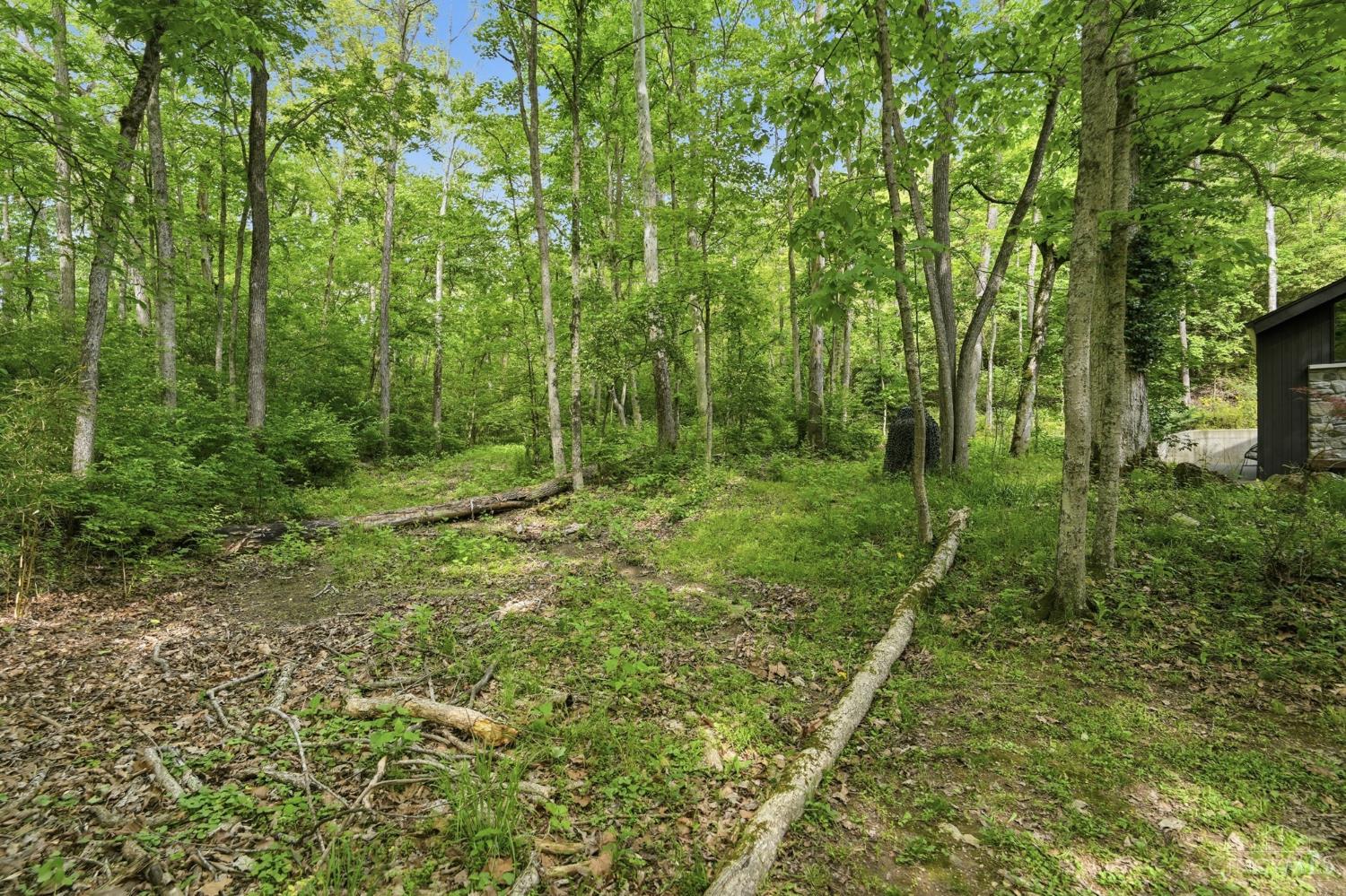454 8 Mile Road