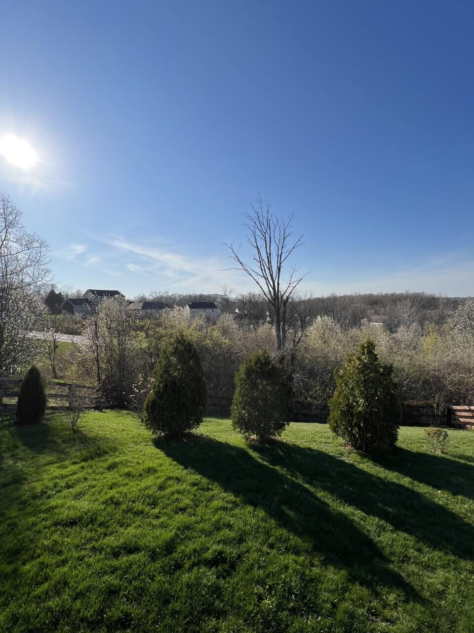 10202 Chestnut Oak Drive