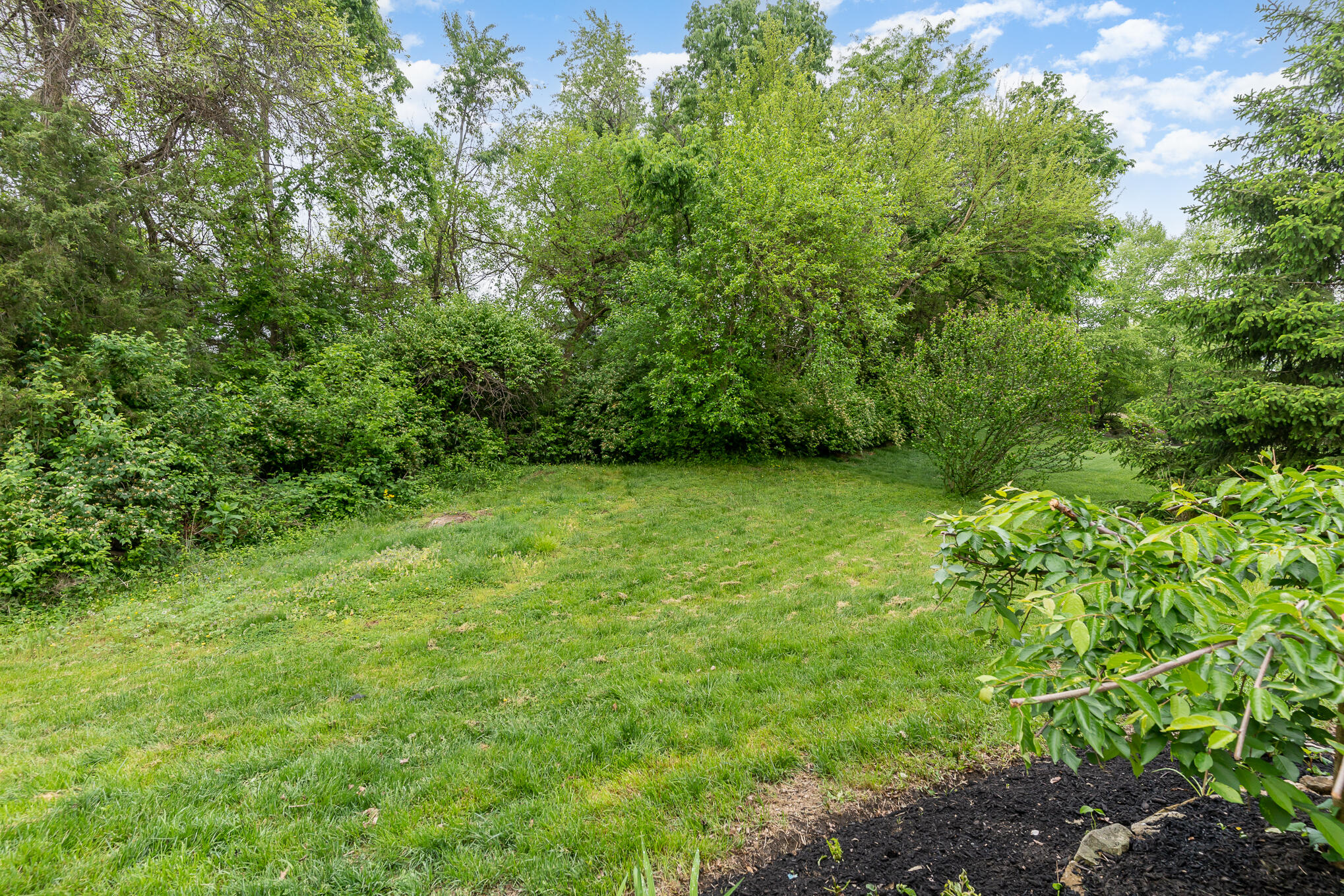 1610 Grandview Drive